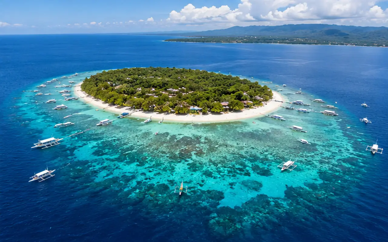 Why Continue Your Diving Education in Bohol?