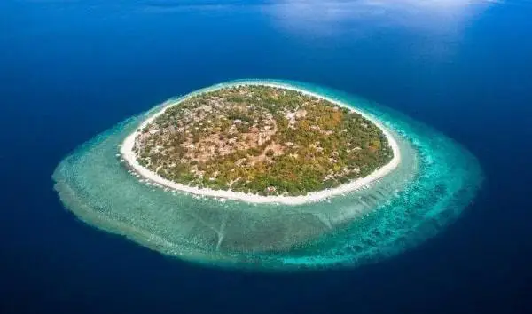 What Makes Balicasag Island So Special?