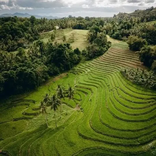 Rural Bohol landscapes