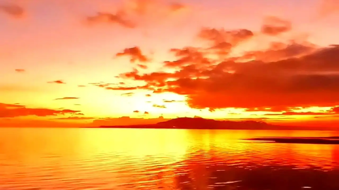 Best Time to Visit Bohol