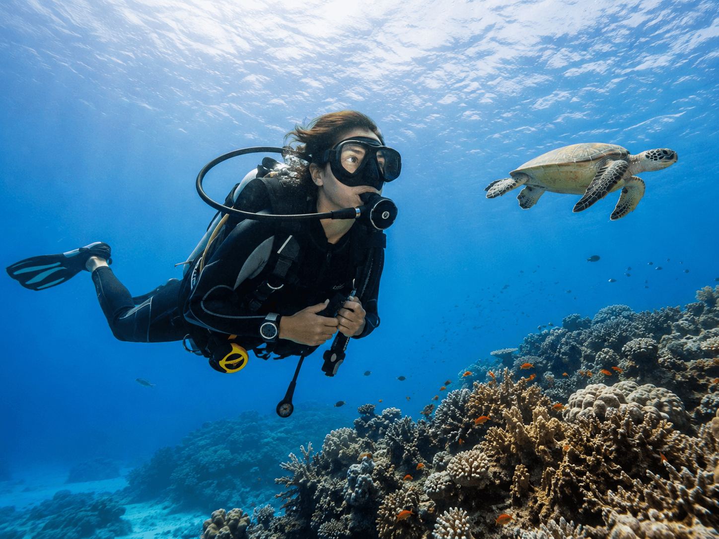 SSI Scuba Diver
