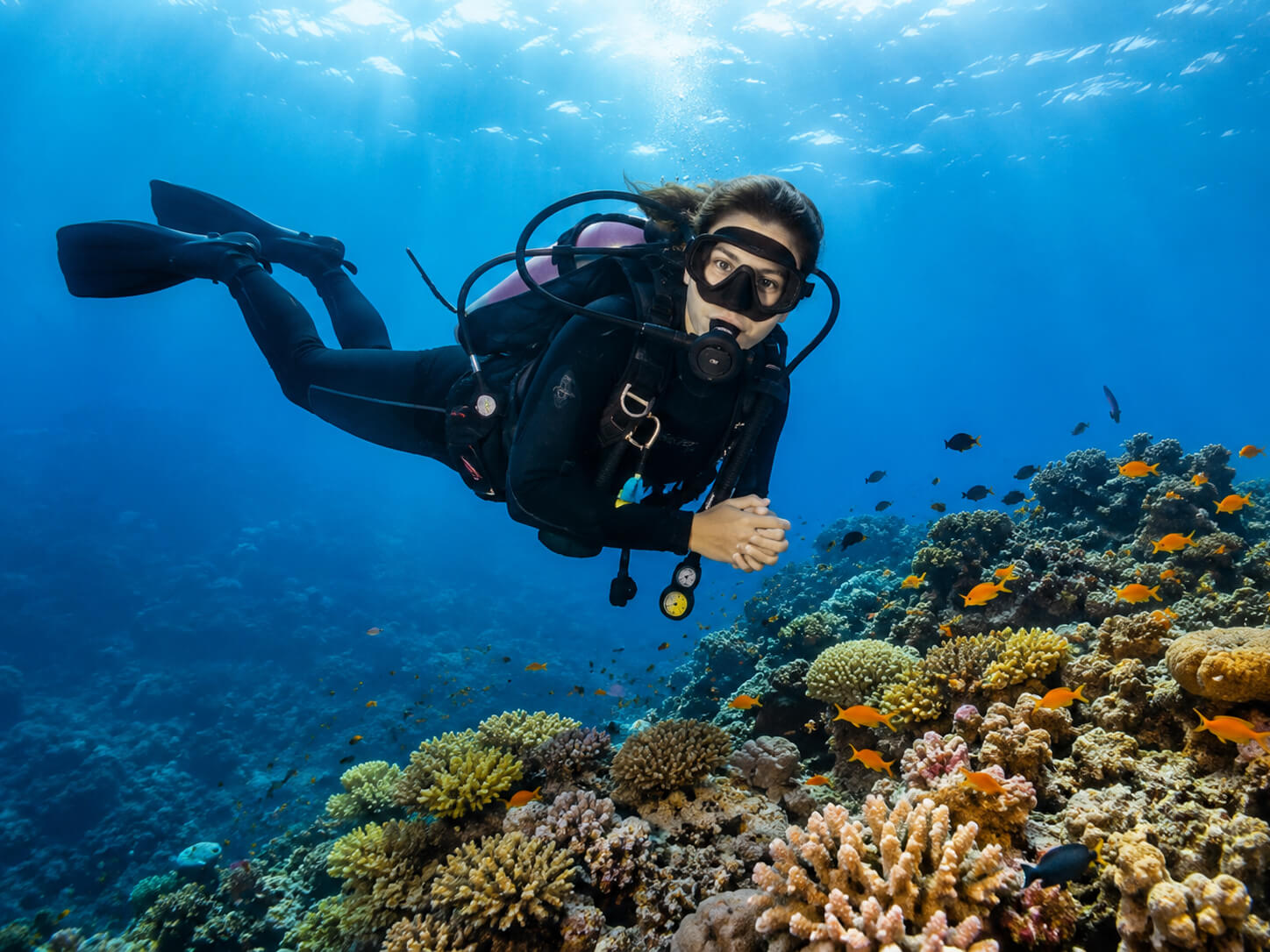 SSI Open Water Diver